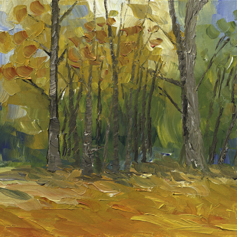 "Fall #1"<br/>
9x12 Oil<br/>
Nov 19, 2023