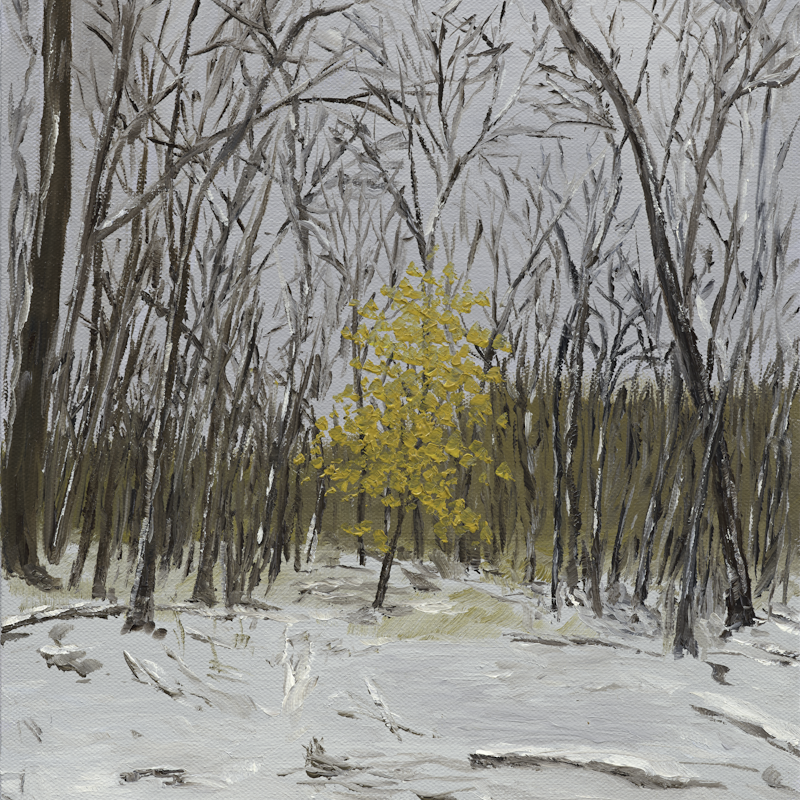 "The Last of Summer"<br/>
11x14 Oil<br/>
Jan 27, 2023<br/>
SOLD
